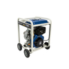 P100 diesel water pump clean water