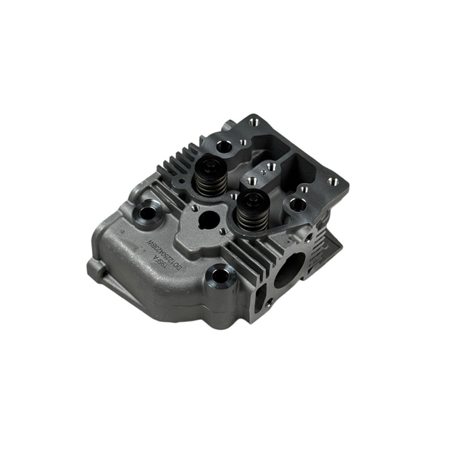 Cylinder head assembly 192F 195F