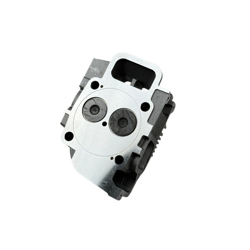 Cylinder head assembly 192F 195F